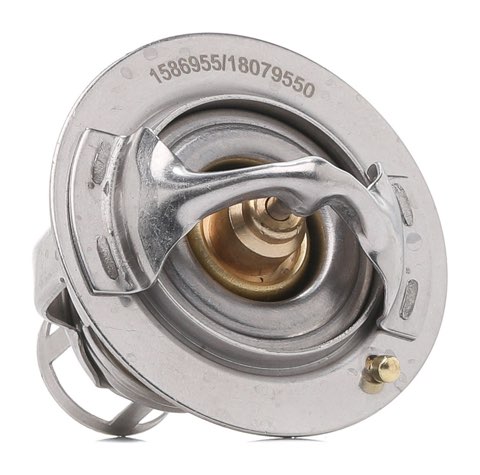 Ridex 316T0445 Thermostat, photo 2