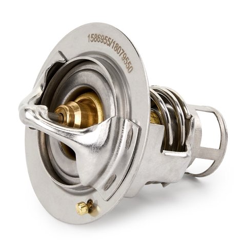Ridex 316T0445 Thermostat, photo 3