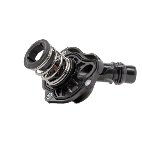 Ridex 316T0467 Thermostat, photo 2