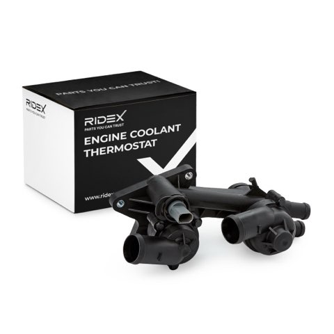 Ridex 316T0523 Thermostat