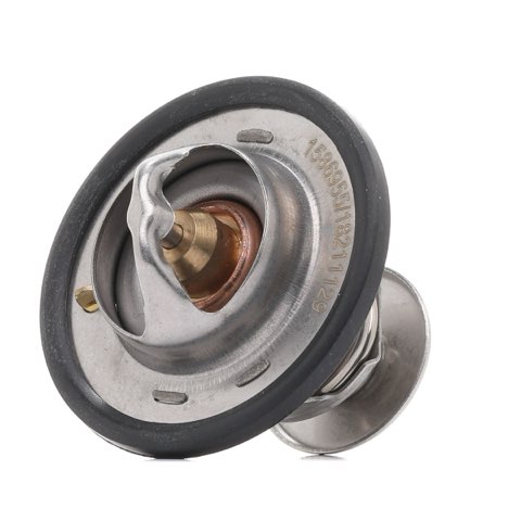 Ridex 316T0543 Thermostat, photo 2