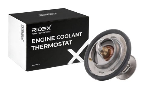 Ridex 316T0543 Thermostat