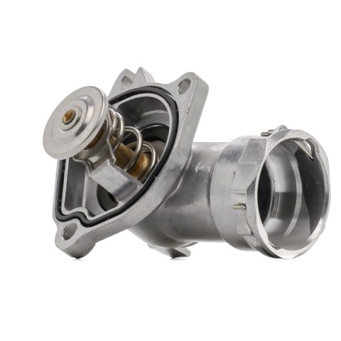 Ridex 316T0551 Thermostat, photo 2