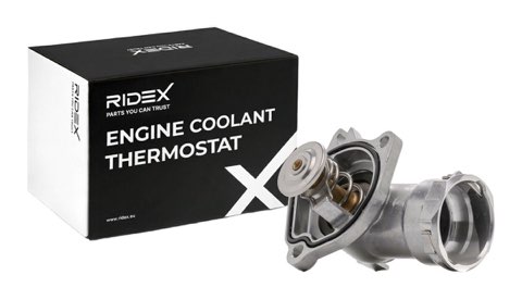 Ridex 316T0551 Thermostat