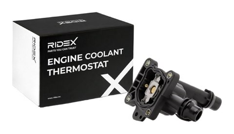 Ridex 316T0556 Thermostat