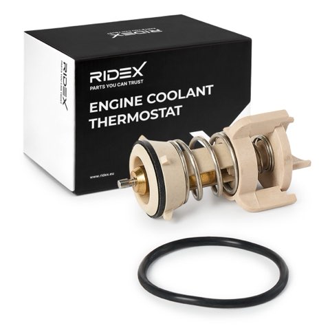 Ridex 316T0575 Thermostat