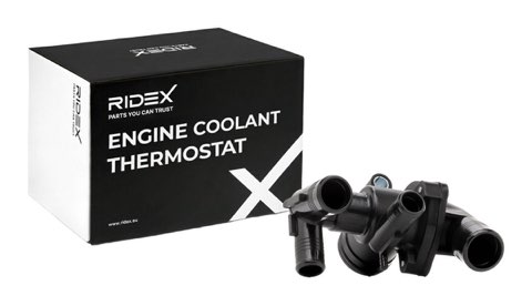 Ridex 316T0581 Thermostat