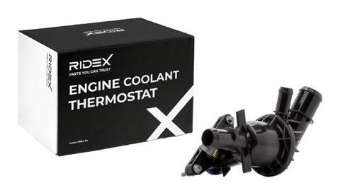 Ridex 316T0585 Thermostat