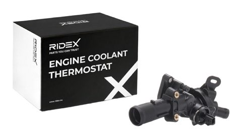 Ridex 316T0597 Thermostat
