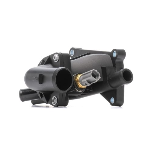 Ridex 316T0604 Thermostat, photo 2