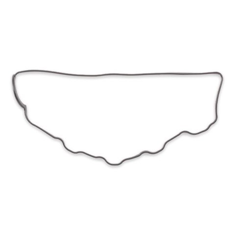 Ridex 321G0006 Rocker Cover Gasket, photo 2