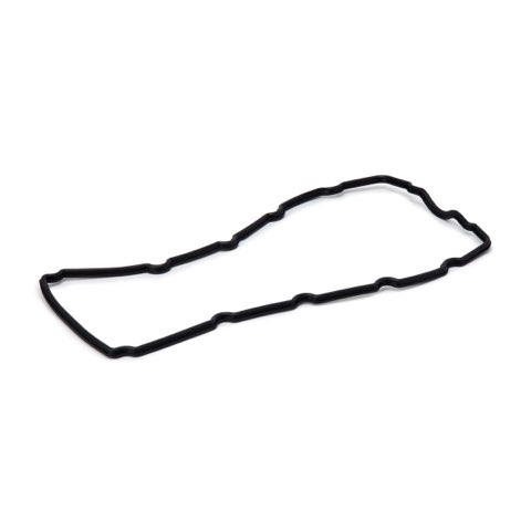 Ridex 321G0059 Rocker Cover Gasket, photo 2