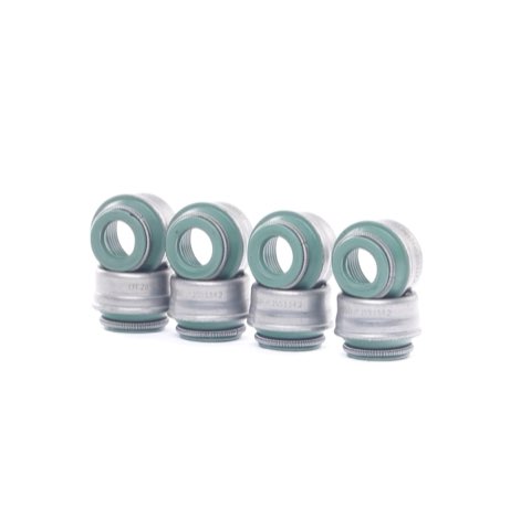 Ridex 323S0003 Valve Stem Seal Set