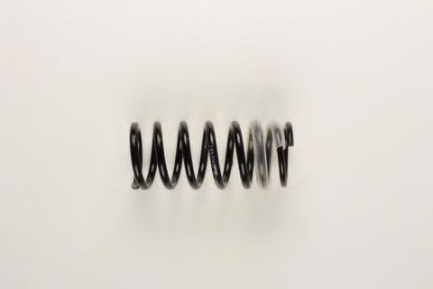 Bilstein 36-129829 Coil Spring, photo 2