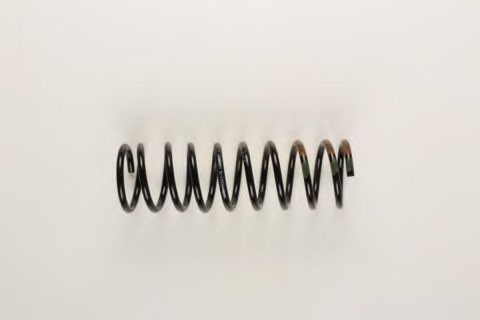 Bilstein 36-130061 Coil Spring, photo 2