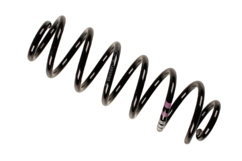 Bilstein 36-134137 Coil Spring
