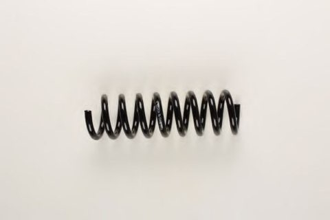 Bilstein 36-154166 Coil Spring