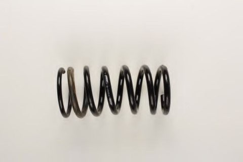 Bilstein 36-154319 Coil Spring, photo 2