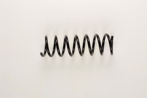 Bilstein 36-162871 Coil Spring, photo 2