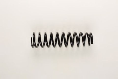 Bilstein 36-163878 Coil Spring, photo 2