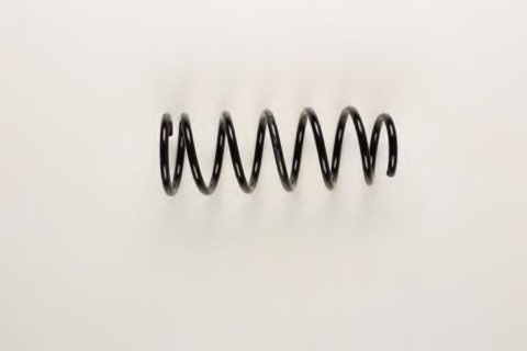 Bilstein 36-200573 Coil Spring, photo 2