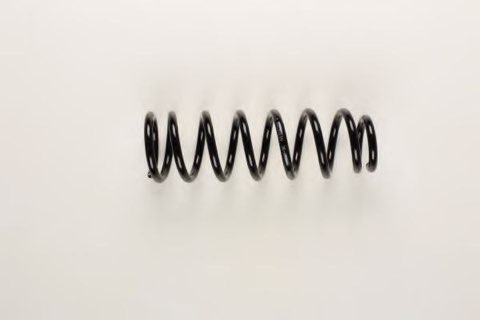 Bilstein 36-202676 Coil Spring