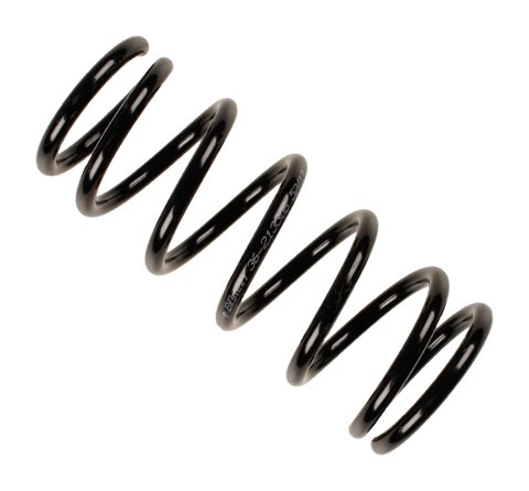 Bilstein 36-213306 Coil Spring