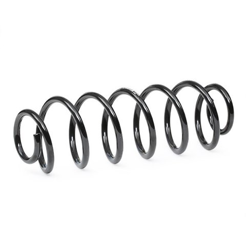 Bilstein 36-253678 Coil Spring, photo 2
