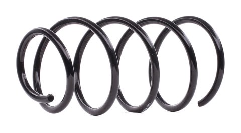 Bilstein 36-256594 Coil Spring, photo 2