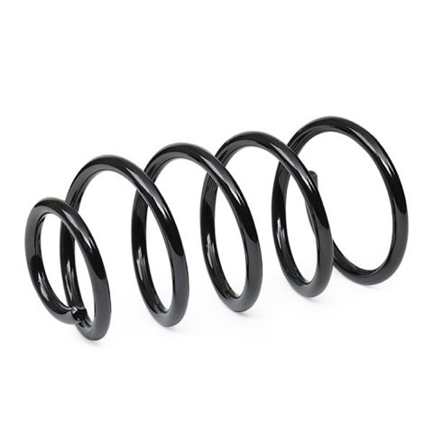 Bilstein 36-266012 Coil Spring, photo 3