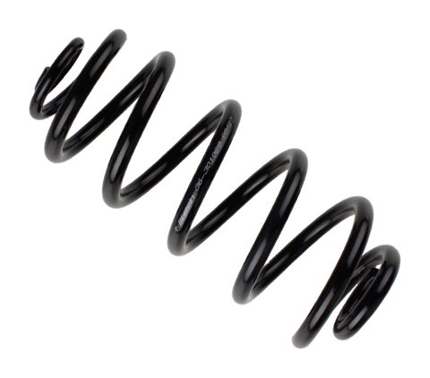 Bilstein 36-301089 Coil Spring