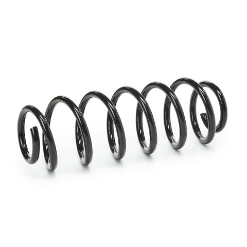 Bilstein 36-312689 Coil Spring, photo 2
