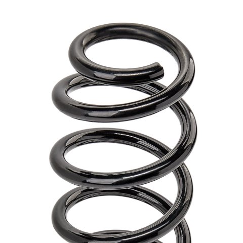 Bilstein 36-320912 Coil Spring, photo 3
