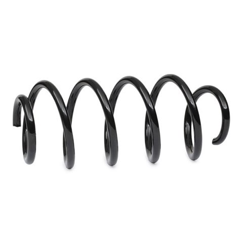 Bilstein 37-256159 Coil Spring, photo 3