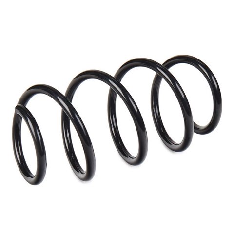 Bilstein 37-309305 Coil Spring, photo 3