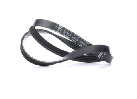 Febi Bilstein 37519 Serpentine Belt