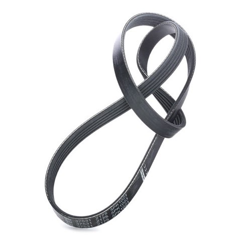 Febi Bilstein 37531 Serpentine Belt, photo 3