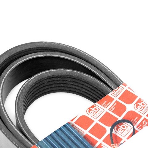 Febi Bilstein 37536 Serpentine Belt, photo 3