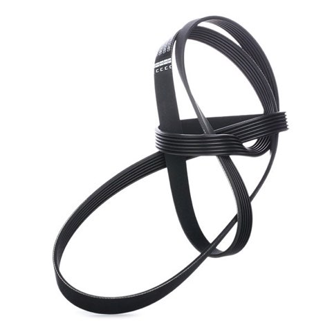 Febi Bilstein 37538 Serpentine Belt, photo 3