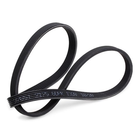 Febi Bilstein 37651 Serpentine Belt, photo 3