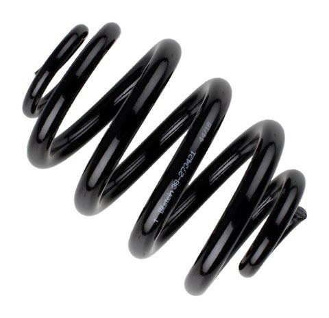 Bilstein 38-273421 Coil Spring