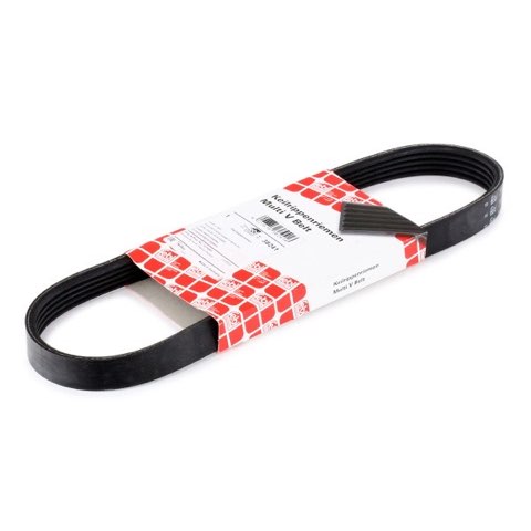 Febi Bilstein 38241 Serpentine Belt, photo 2