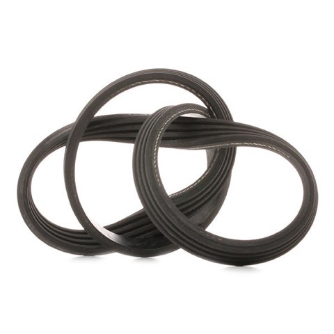 Febi Bilstein 38441 Serpentine Belt, photo 3