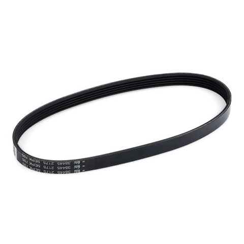 Febi Bilstein 38445 Serpentine Belt, photo 3