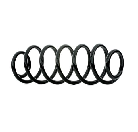 Febi Bilstein 38959 Coil Spring
