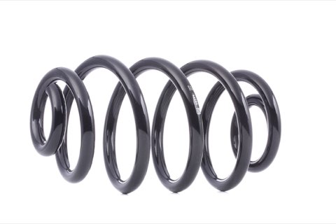 Febi Bilstein 39311 Coil Spring