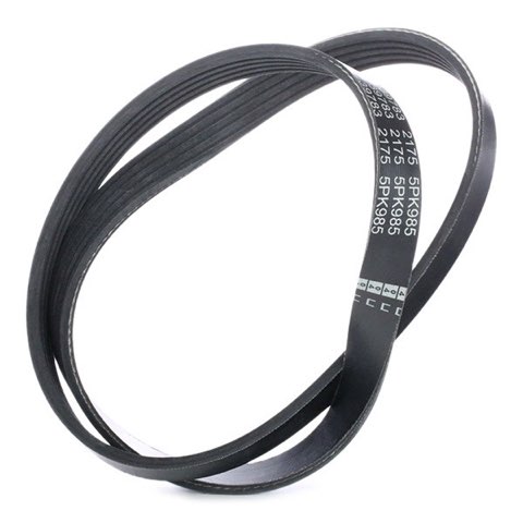 Febi Bilstein 39783 Serpentine Belt, photo 3
