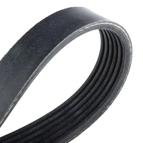 Febi Bilstein 39786 Serpentine Belt, photo 3