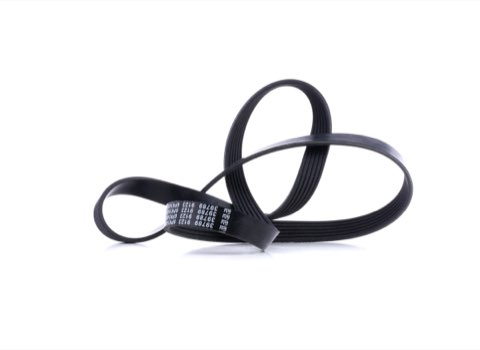 Febi Bilstein 39789 Serpentine Belt