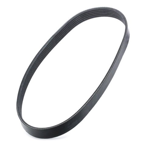 Febi Bilstein 39800 Serpentine Belt, photo 3